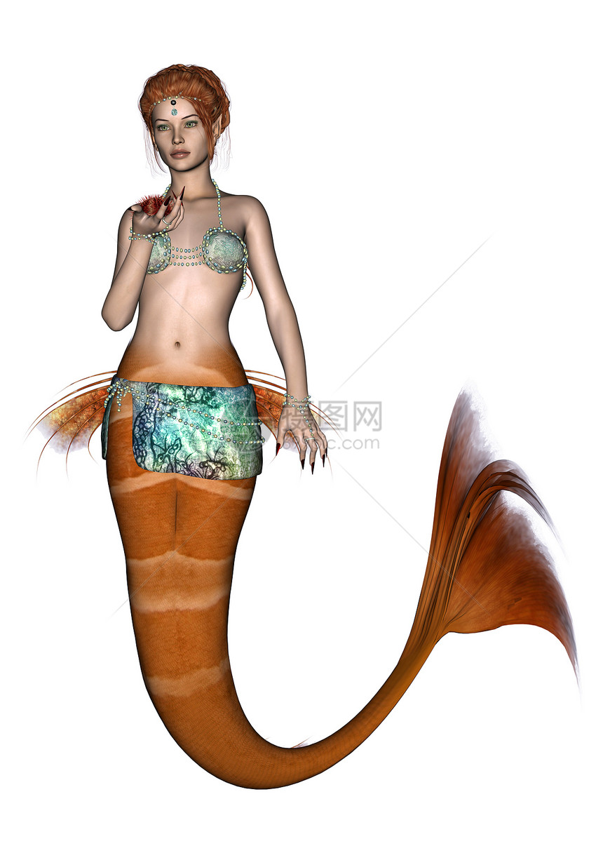 仙女美人鱼女士神话脊椎动物游泳故事童话插图尾巴女性魔法图片