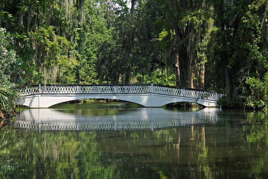 横过池塘的桥图片