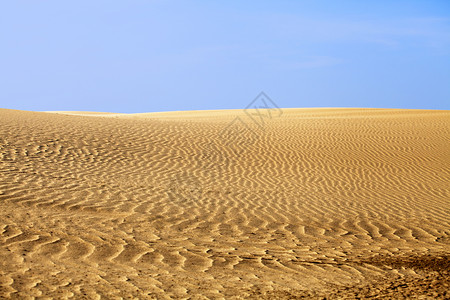 沙漠沙丘风化阳光天气天空地形气候干旱金子地平线荒地背景图片