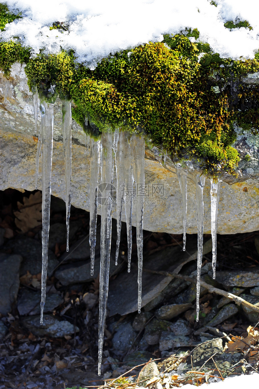 森林中石头上挂着的冻冰棒冰柱冻结岩石水晶绿色季节白色植物苔藓天气图片