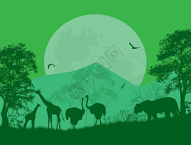 长颈鹿公园野生动物鸵鸟太阳日落老虎旅游动物群动物生活地平线自由设计图片