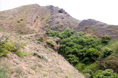 山天空蓝色树木绿色阳光灰色爬坡岩石衬套石头背景图片