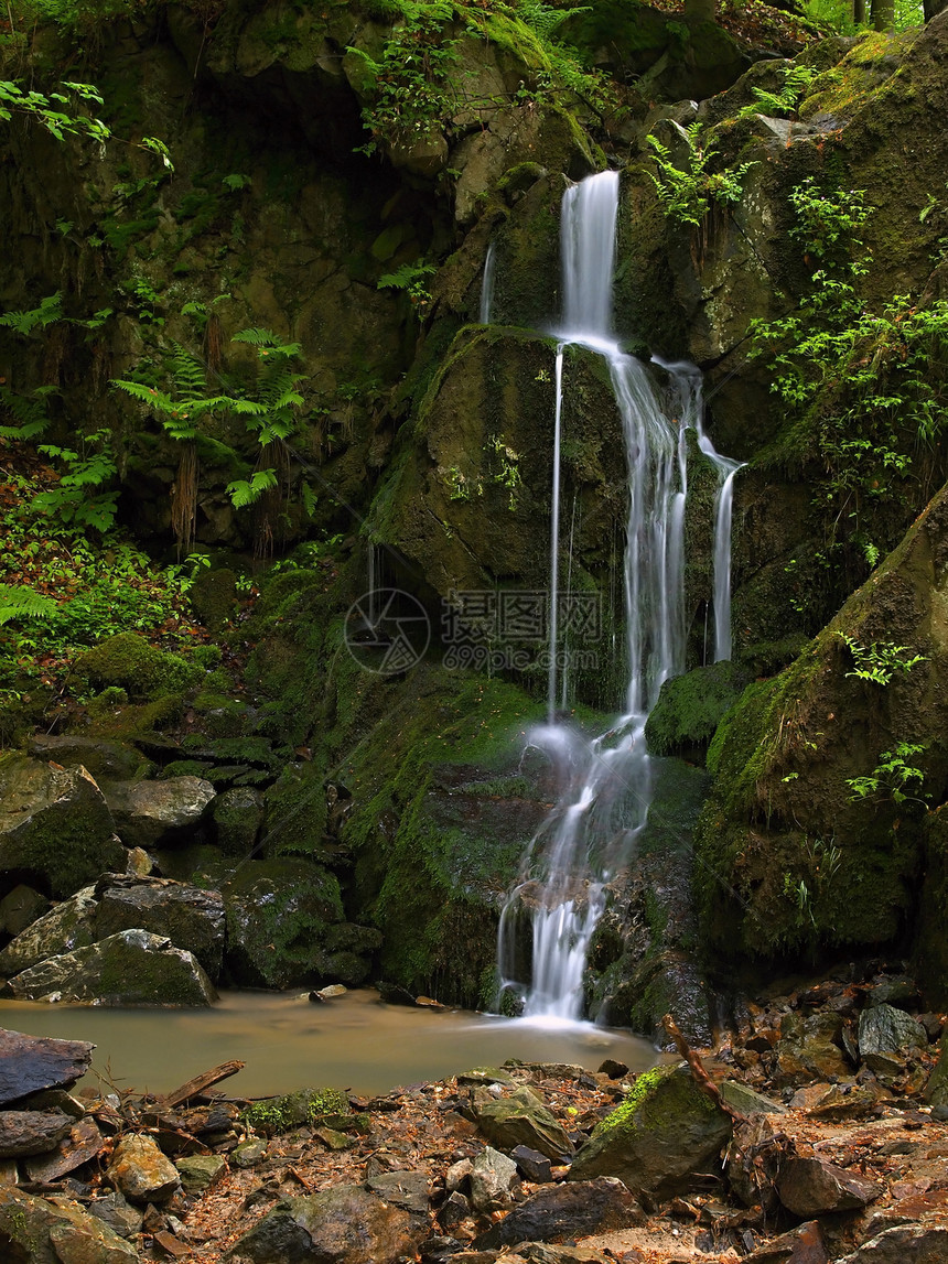 瀑布溪流公园森林苔藓天堂旅行运动岩石美丽风景图片