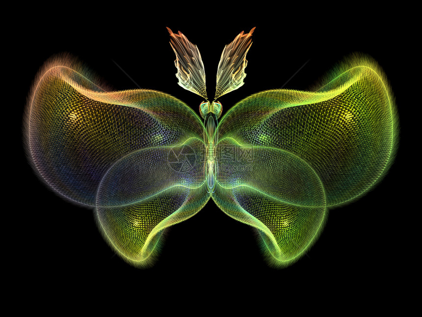 蝴蝶光几何学科学野生动物装饰品动物创造力想像力漏洞昆虫眼睛图片