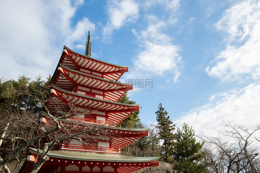 藤山的舒里托塔花园建筑学樱花风景树木季节浅间公吨天空场景图片