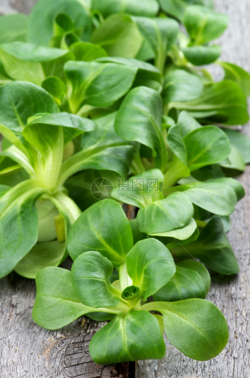 玉米沙菜叶素食蔬菜沙拉背景框架乡村草本植物卷曲采摘食物图片