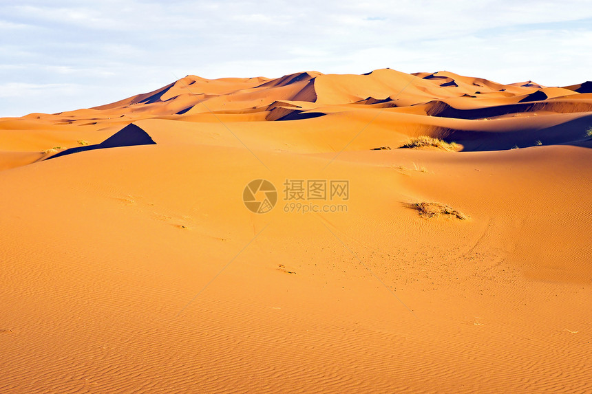 摩洛哥在撒哈拉沙漠中的沙丘中图片