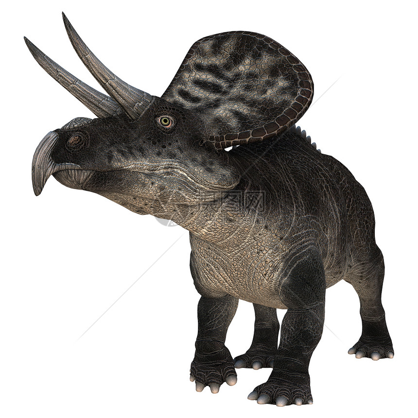 单体蛋白生物时代怪物爬行动物插图白色动物爬虫博物馆恐龙图片