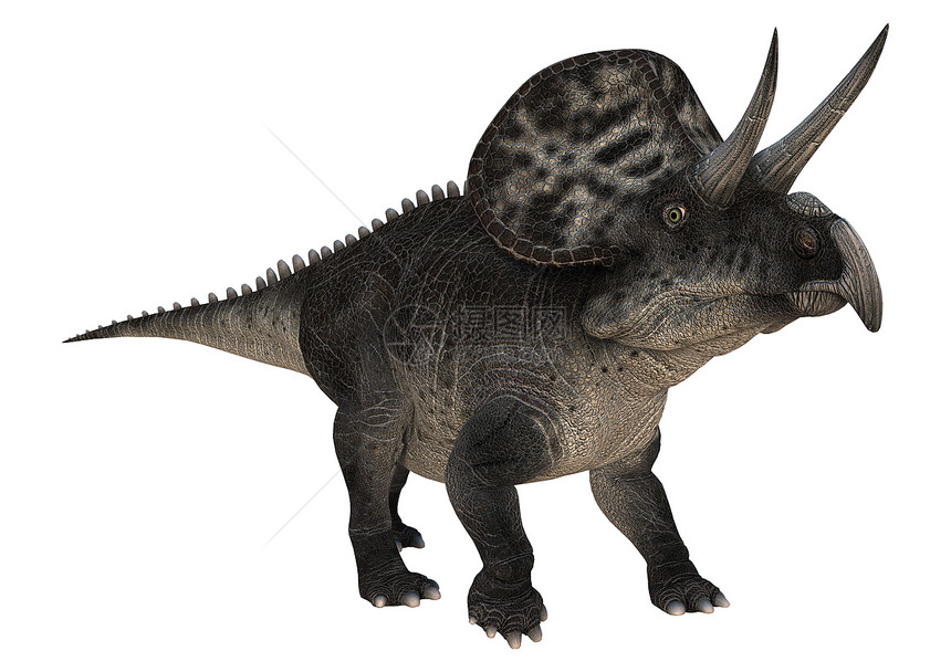 单体蛋白恐龙博物馆白色怪物动物爬行动物捕食者古生物学爬虫生物图片