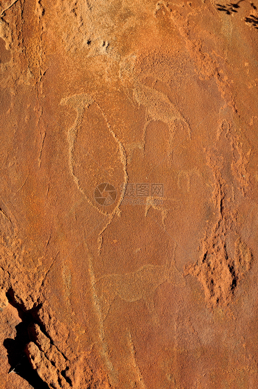 纳米比亚的岩石雕刻蚀刻版画野生动物动物企鹅橙子岩画荒野巨石孤独图片