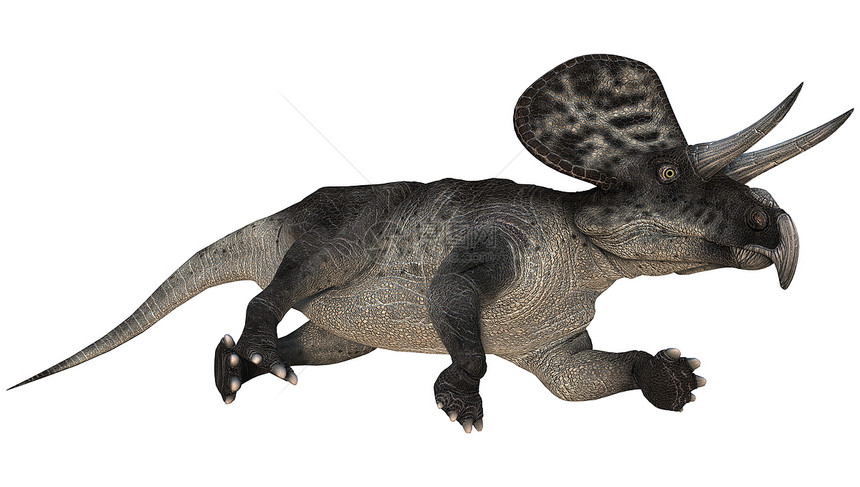 单体蛋白恐龙爬行动物捕食者博物馆古生物学插图怪物爬虫白色动物图片