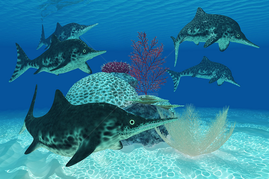 恐龙海上生活动物爬行动物海洋脚蹼侏罗纪牙齿蜥蜴插图生物图片
