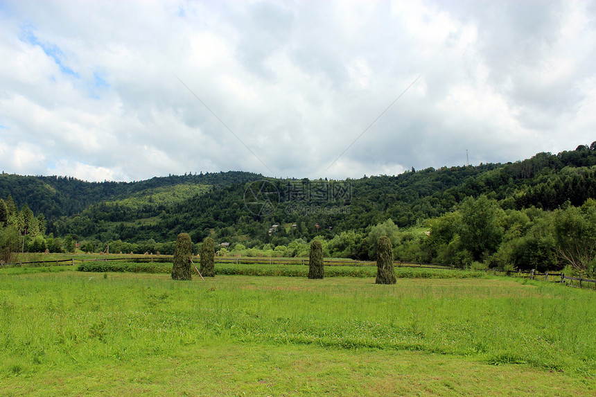 喀尔巴阡山的一片干草风景地区小路森林衬套旅行全景农村绿色地层图片