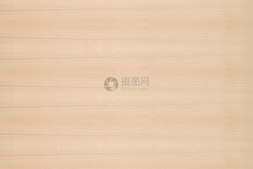 树木背景背景硬木控制板装饰样本材料木材墙纸木板松树宏观图片