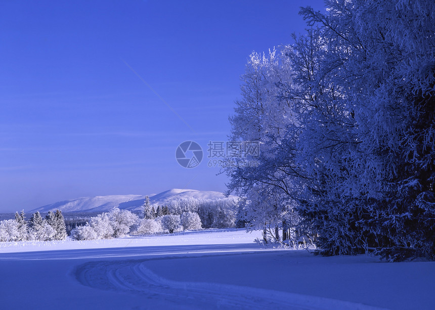 冬季风景墙纸小路美丽晴天阳光木头水晶场景天气森林图片