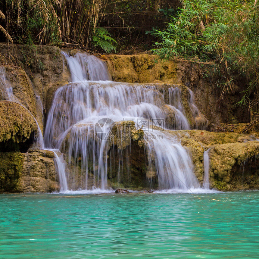 Kuang Si瀑布运动溪流热带绿色植物森林激流风景瀑布丛林图片