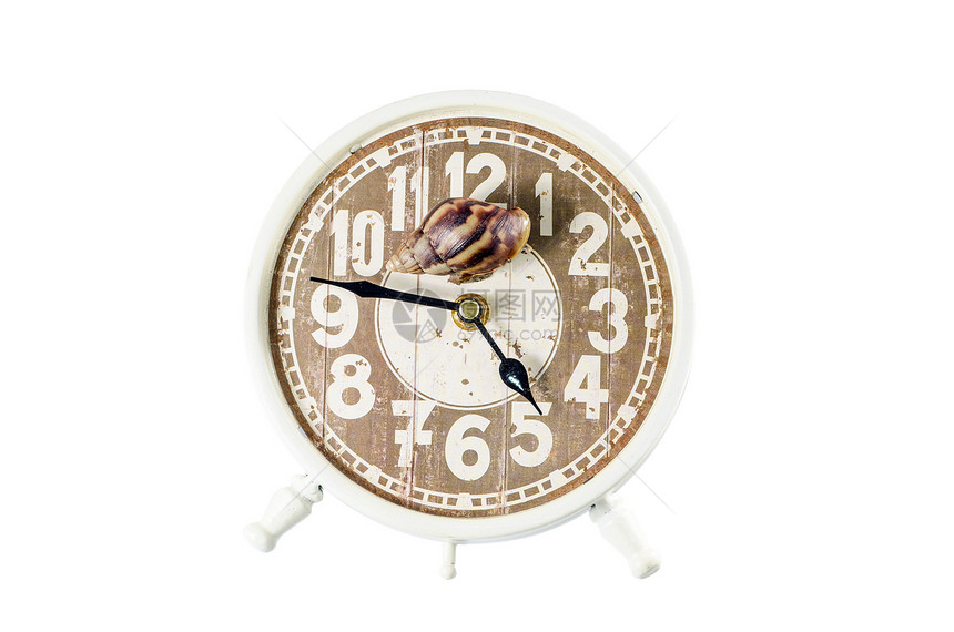 斯奈勒在时钟的一面爬行两栖动物动作紧迫感动物天线速度闹钟永恒影棚眼柄图片