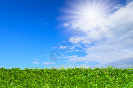 蓝色天空下的人工草墙纸环境耀斑风格牧场地面草地桌面晴天地平线背景图片