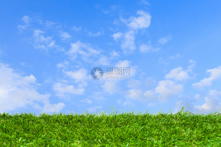 蓝色天空下的人工草国家植物群桌面晴天风格装饰草地农场植物地面图片