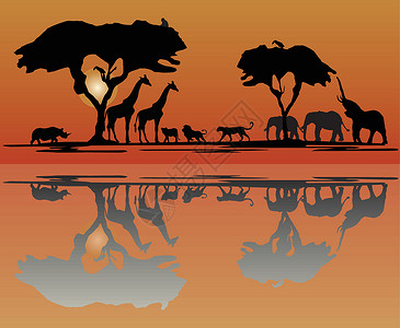 犀牛5素材非洲野生非洲野生动物天线日落动物群插图树木捕食者狮子犀牛环境皮肤猎豹插画