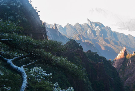 世界自然遗产三青山地貌的风景山谷松树悬崖世界遗产旅游花岗岩山脉背景图片