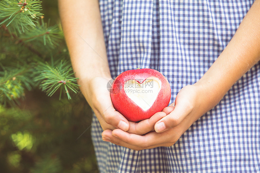 红苹果 心脏形状水果青少年生活食物枞树皮肤饮食女性展示女士图片