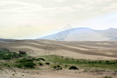 青海湖旁的沙丘背景图片