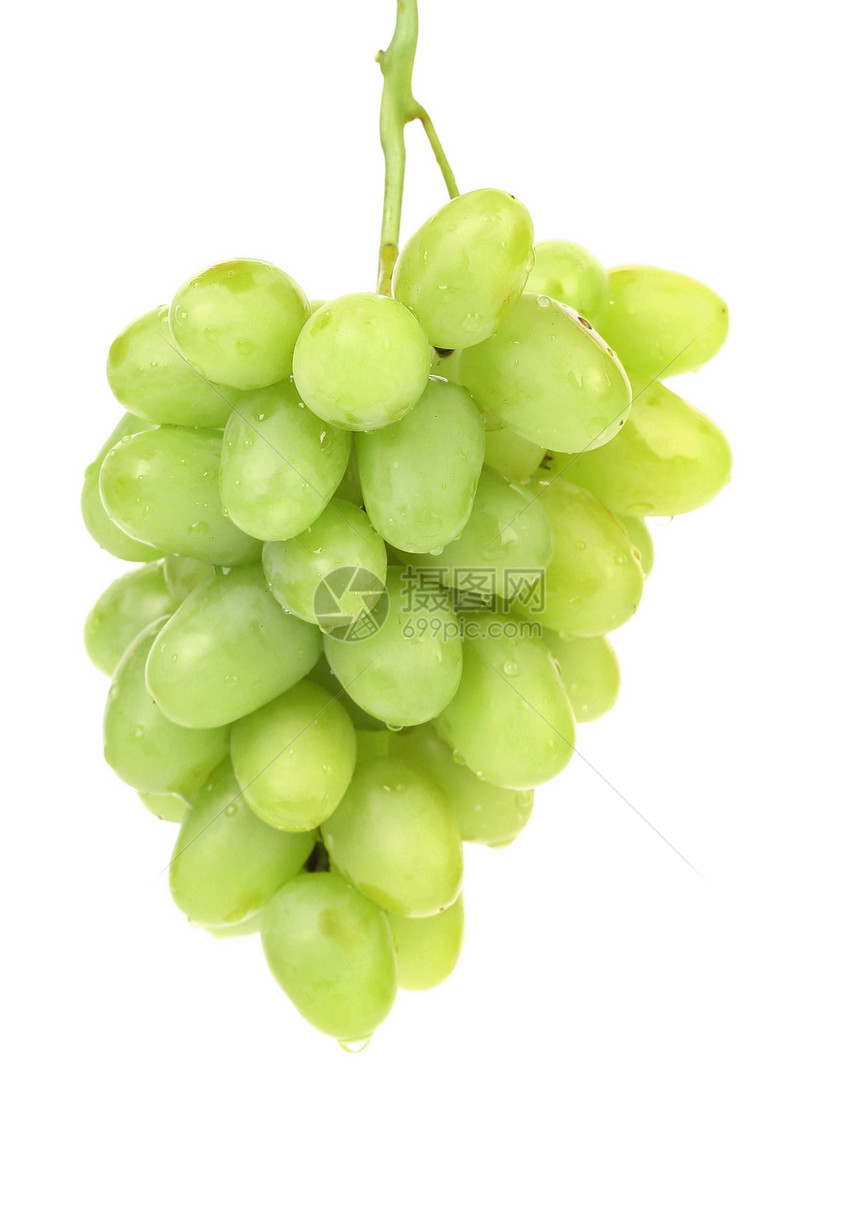 一堆绿葡萄绿色浆果营养藤蔓甜点农业食物酒厂饮食收成图片