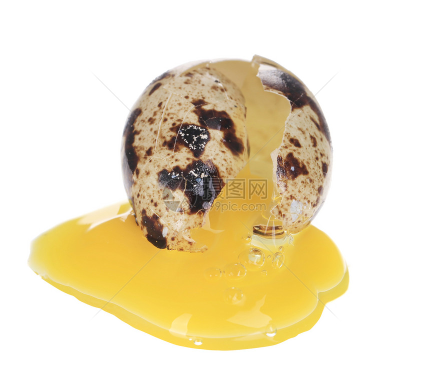 原碎蛋棕色鹌鹑庆典食物美食脆弱性白色花语营养杂色图片