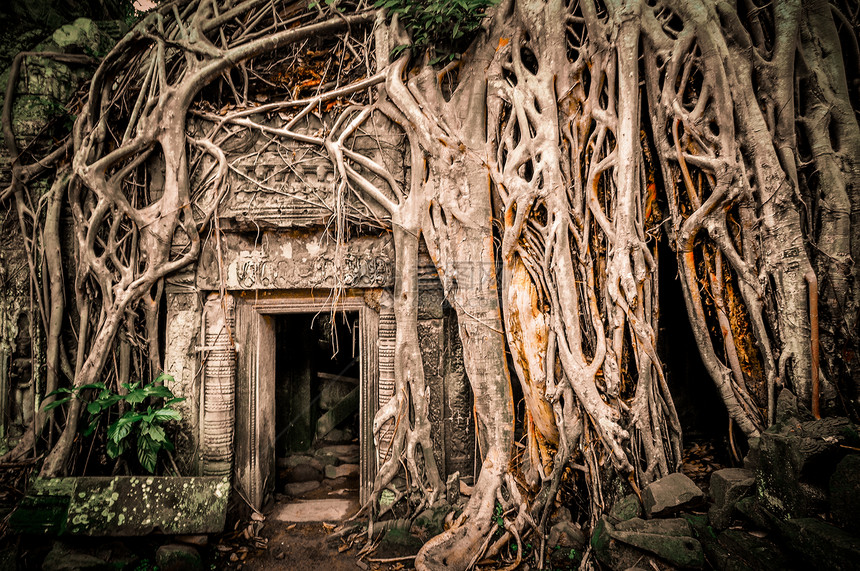 Angkor Wat综合体暹粒区古老的佛教赫默寺庙历史世界雕塑旅游旅行建筑佛教徒石头寺庙艺术图片