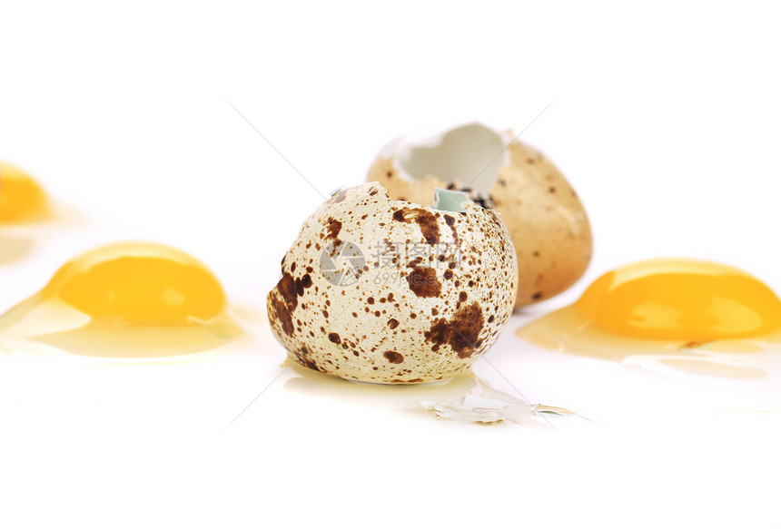 近距离的生碎蛋营养白色鹌鹑杂色脆弱性棕色食物花语美食庆典图片