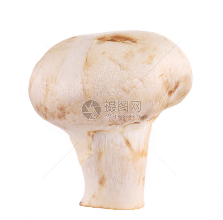 白蘑菇关门了白色营养团体食物蔬菜美食图片