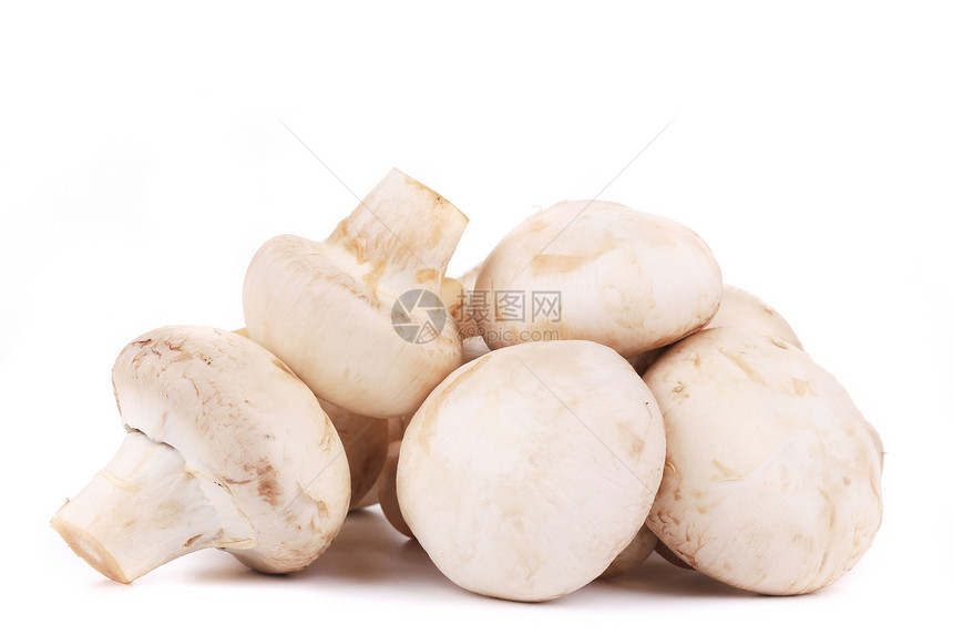 一群白蘑菇关门了营养团体食物蔬菜白色美食图片