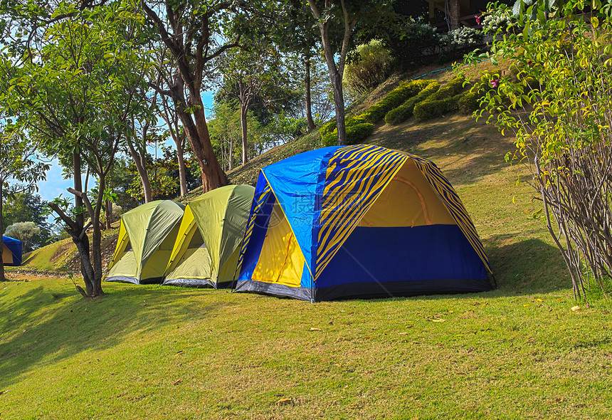 在森林中扎营帐篷荒野旅行风景岩石睡眠绿色草地环境蓝色营地图片
