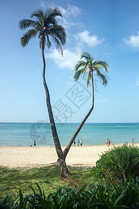三亚天叶海知地貌海滩环保旅行天空海洋热带背景图片