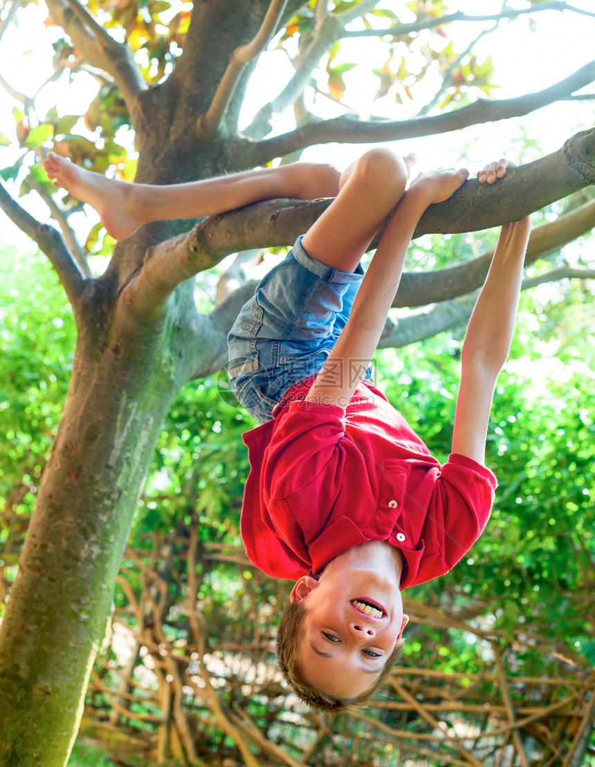 男孩挂在树枝上男生花园倒挂喜悦乐趣快乐活动幸福公园情感图片