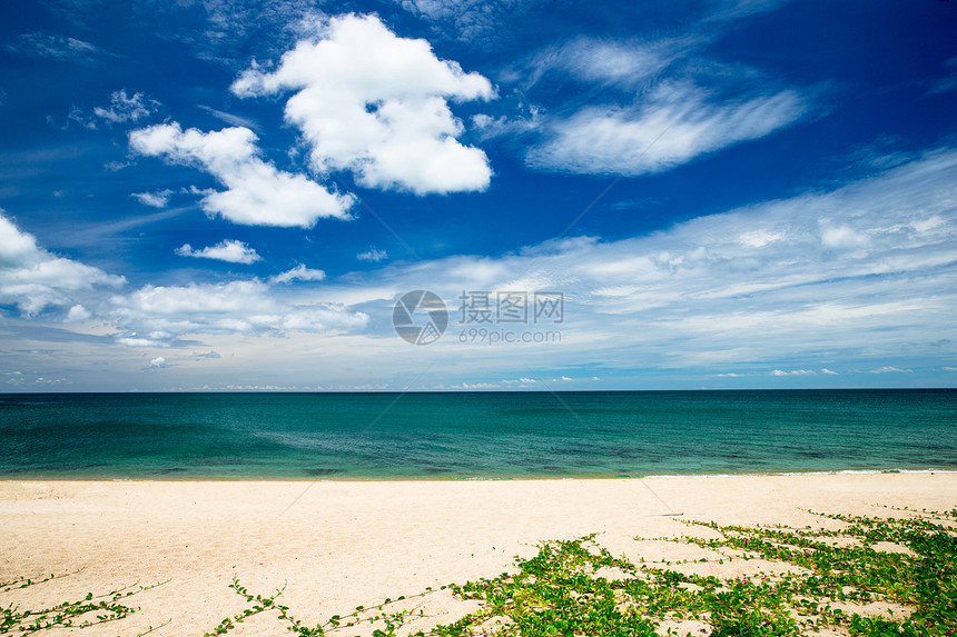 热带海洋海浪椰子场景蓝色海岸线风景气候地平线阳光波纹图片