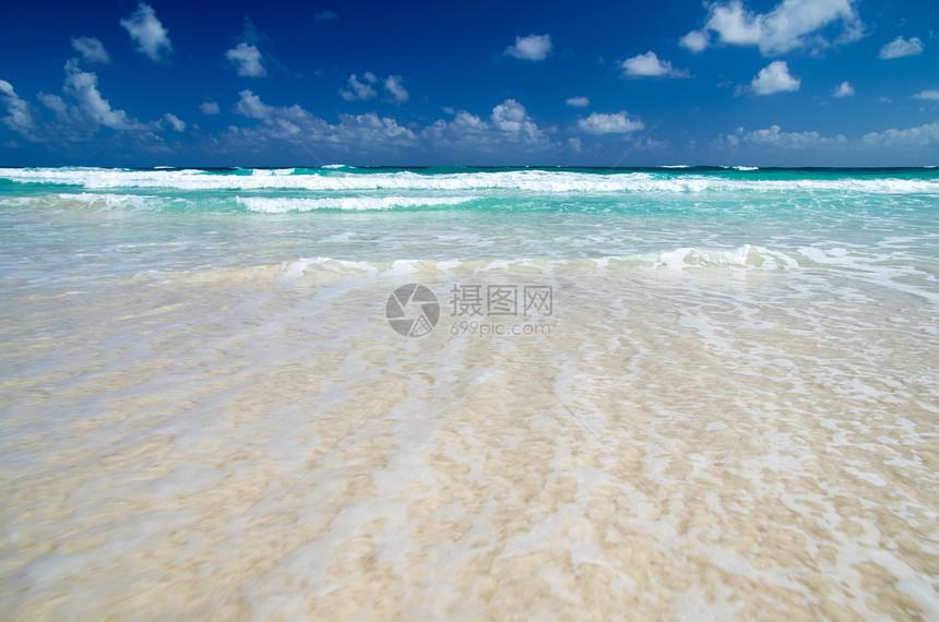 加勒比海滩叶子蓝色海景假期太阳旅行椰子晴天棕榈风景图片