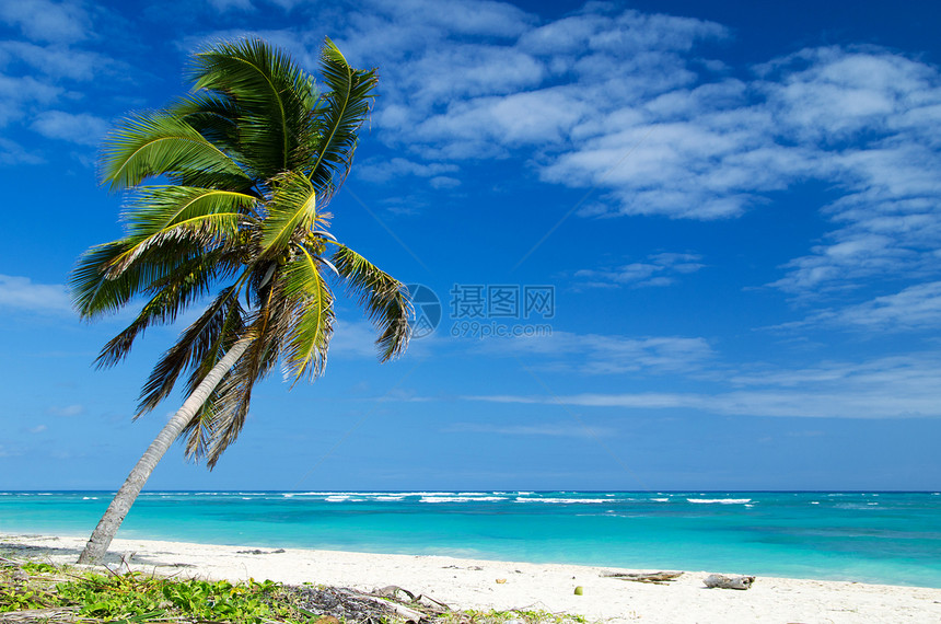 海 海假期天堂天空海岸阳光蓝色海景旅游热带棕榈图片