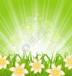 春季新鲜香椿春季背景 绿草和鲜花设计图片
