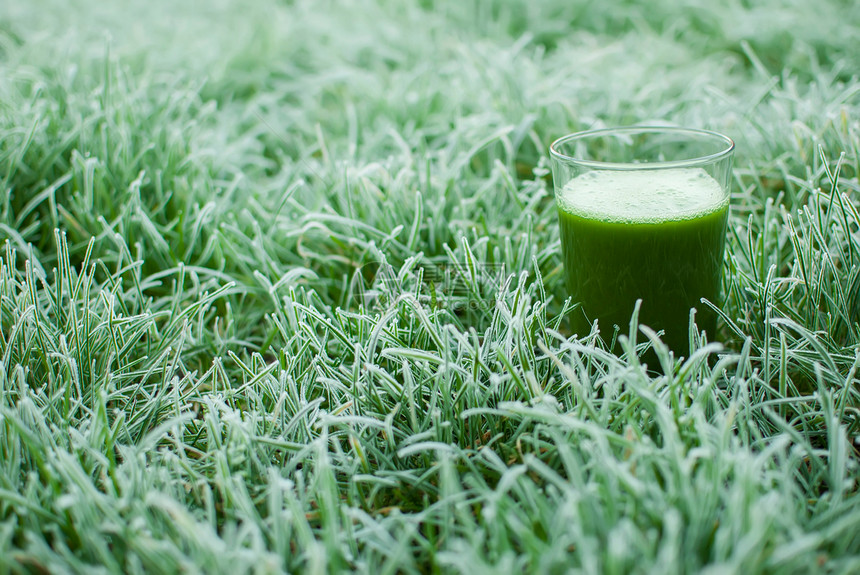 健康绿色脱毒汁芹菜活力黄瓜饮食饮料养分木头奶昔叶子食物图片