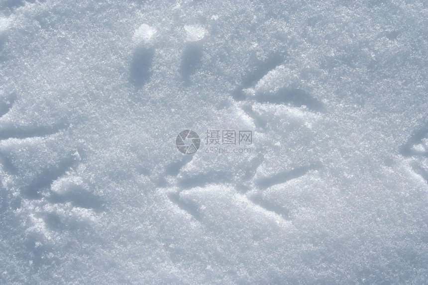 水晶冰雪背景灰色结晶艺术白色薄片雪花玻璃图片
