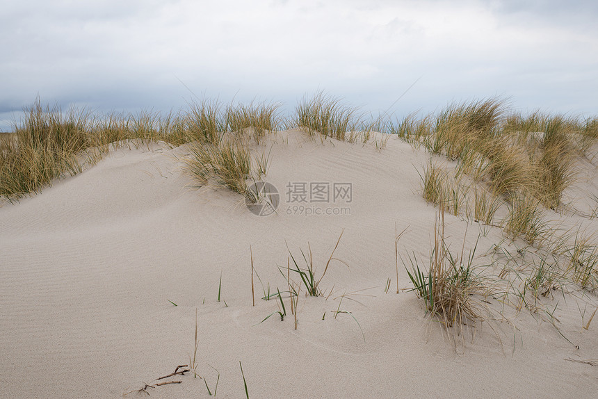 沙丘和沙草海滩海岸水平蓝色支撑尖刺爬坡沙滩树叶风景图片