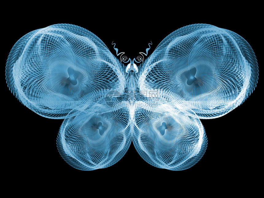 蝴蝶光创造力翅膀航班科学触角漏洞花园野生动物几何学宏观图片