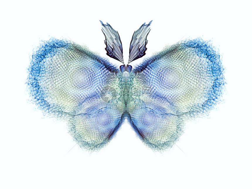 凉柔蝴蝶森林蓝色元素装饰品生物学野生动物插图漏洞昆虫学昆虫图片