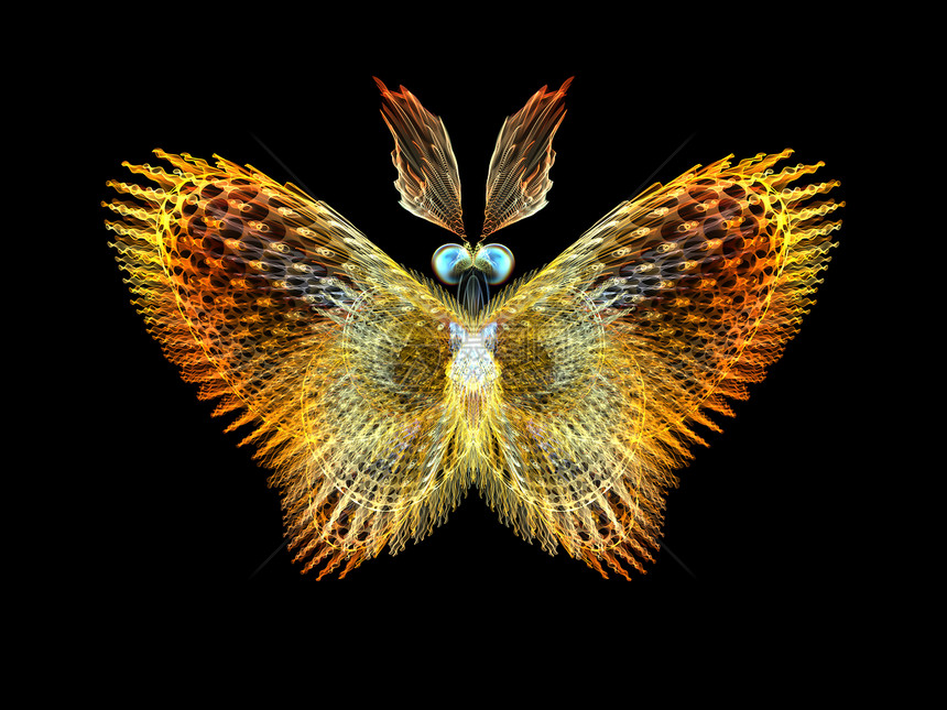 蝴蝶元素野生动物昆虫翅膀想像力动物设计几何学眼睛昆虫学航班图片