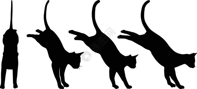 黑白素材猫猫集合矢量 silhouett艺术男性绘画白色夹子团体剪影收藏冒充动物设计图片