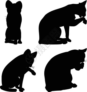 猫舍宠物拍摄猫集合矢量 silhouett插图动物女性阴影尾巴团体男性宠物冒充绘画设计图片