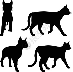 黑白素材猫猫集合矢量 silhouett白色冒充男性阴影女性夹子绘画艺术尾巴动物设计图片