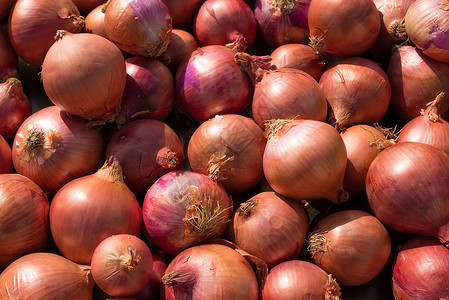 红洋葱生产水平市场画幅食物营养蔬菜背景图片